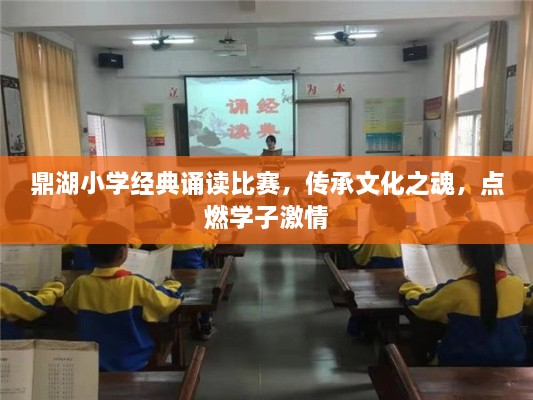 鼎湖小学经典诵读比赛，传承文化之魂，点燃学子激情