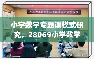 小学数学专题课模式研究，28069小学数学专题研究 