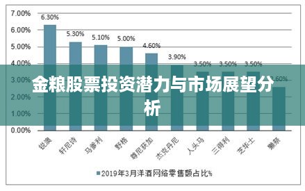 金粮股票投资潜力与市场展望分析