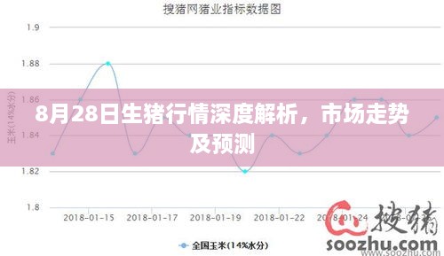 8月28日生猪行情深度解析，市场走势及预测