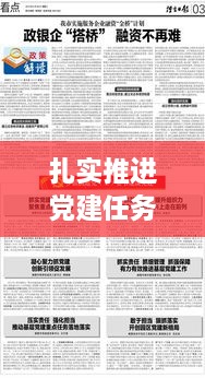 扎实推进党建任务落实，推进党建重点任务落实 