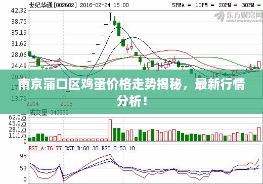 南京蒲口区鸡蛋价格走势揭秘，最新行情分析！