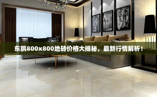 东鹏800x800地砖价格大揭秘，最新行情解析！