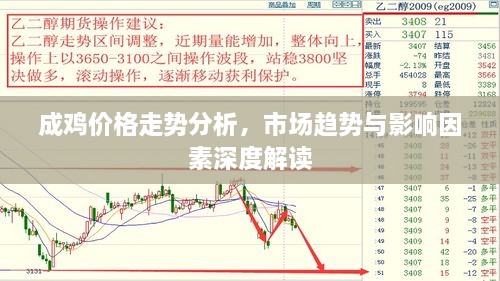 成鸡价格走势分析，市场趋势与影响因素深度解读