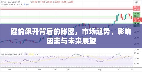 锂价飙升背后的秘密，市场趋势、影响因素与未来展望