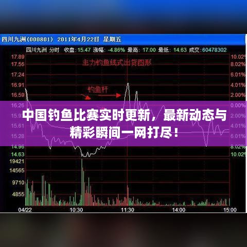 中国钓鱼比赛实时更新，最新动态与精彩瞬间一网打尽！