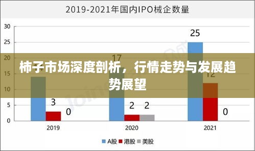 柿子市场深度剖析，行情走势与发展趋势展望