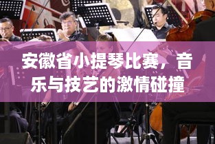 安徽省小提琴比赛，音乐与技艺的激情碰撞盛宴！