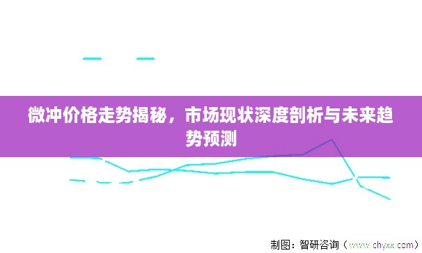 微冲价格走势揭秘，市场现状深度剖析与未来趋势预测