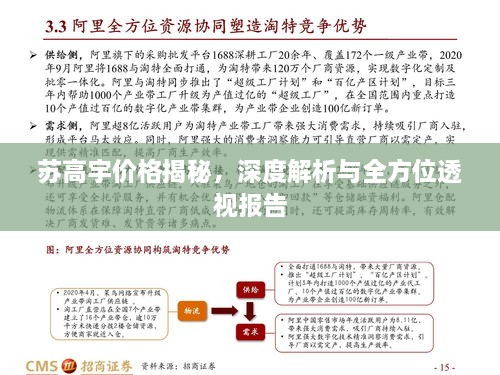 苏高宇价格揭秘，深度解析与全方位透视报告