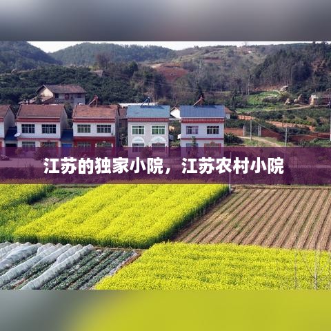 江苏的独家小院，江苏农村小院 