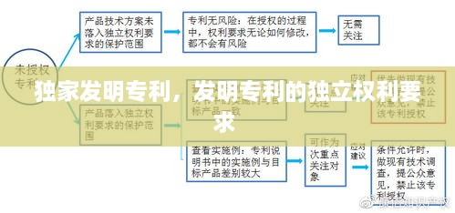 独家发明专利，发明专利的独立权利要求 