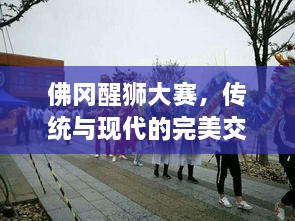 佛冈醒狮大赛，传统与现代的完美交融，精彩瞬间不容错过！