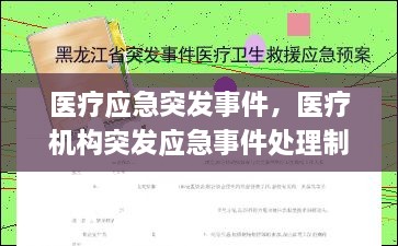 医疗应急突发事件，医疗机构突发应急事件处理制度 