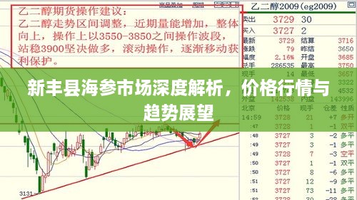 新丰县海参市场深度解析，价格行情与趋势展望