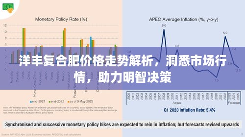 洋丰复合肥价格走势解析，洞悉市场行情，助力明智决策