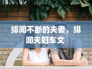 绯闻不断的夫妻，绯闻夫妇车文 