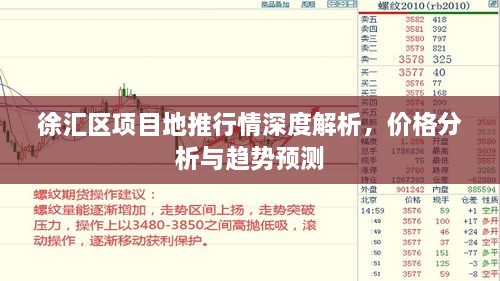 徐汇区项目地推行情深度解析，价格分析与趋势预测