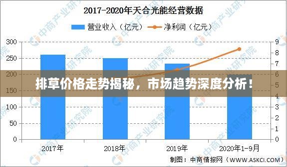 排草价格走势揭秘，市场趋势深度分析！