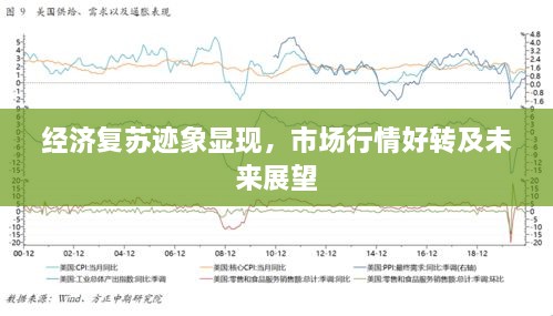 经济复苏迹象显现，市场行情好转及未来展望