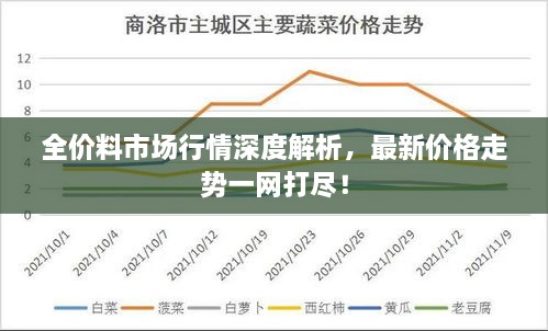 全价料市场行情深度解析，最新价格走势一网打尽！