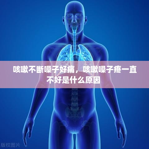 咳嗽不断嗓子好痛，咳嗽嗓子疼一直不好是什么原因 