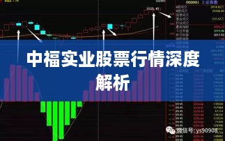 中福实业股票行情深度解析