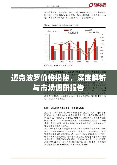 迈克波罗价格揭秘，深度解析与市场调研报告