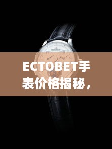 ECTOBET手表价格揭秘，时尚与精准的时间艺术体验