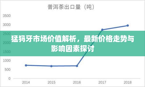 猛犸牙市场价值解析，最新价格走势与影响因素探讨