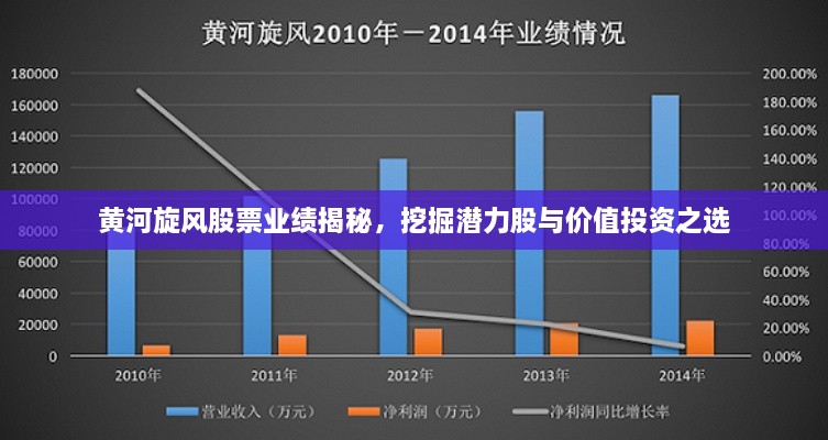 黄河旋风股票业绩揭秘，挖掘潜力股与价值投资之选