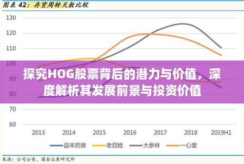 探究HOG股票背后的潜力与价值，深度解析其发展前景与投资价值