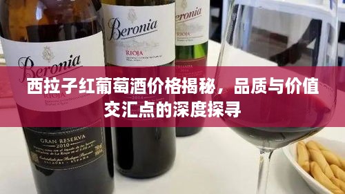 西拉子红葡萄酒价格揭秘，品质与价值交汇点的深度探寻