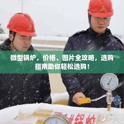 微型锅炉，价格、图片全攻略，选购指南助你轻松选购！