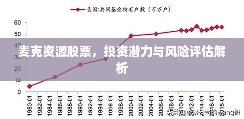 麦克资源股票，投资潜力与风险评估解析