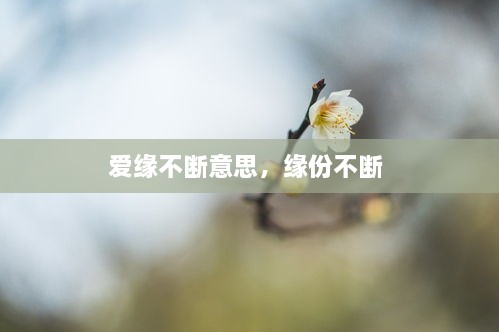 爱缘不断意思，缘份不断 