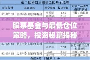 股票基金与最低仓位策略，投资秘籍揭秘