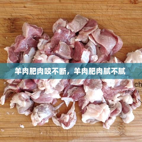 羊肉肥肉咬不断，羊肉肥肉腻不腻 