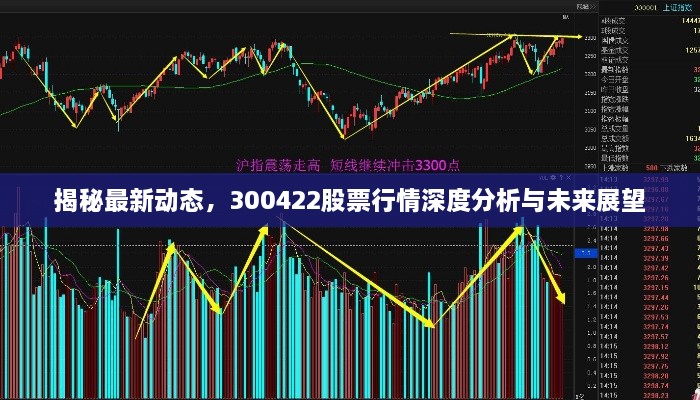 揭秘最新动态，300422股票行情深度分析与未来展望