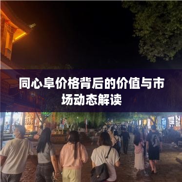 同心阜价格背后的价值与市场动态解读