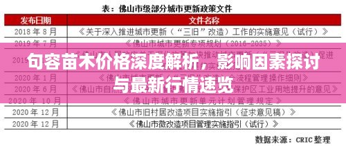 句容苗木价格深度解析，影响因素探讨与最新行情速览