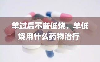 羊过后不断低烧，羊低烧用什么药物治疗 