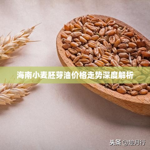 海南小麦胚芽油价格走势深度解析