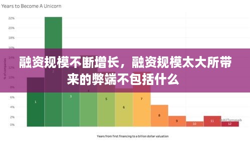 融资规模不断增长，融资规模太大所带来的弊端不包括什么 