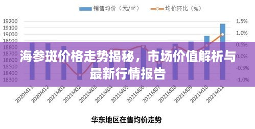 海参斑价格走势揭秘，市场价值解析与最新行情报告