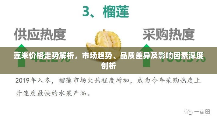 莲米价格走势解析，市场趋势、品质差异及影响因素深度剖析