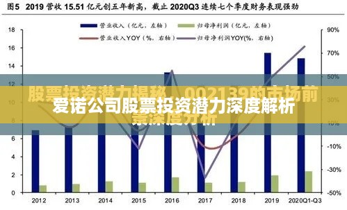 爱诺公司股票投资潜力深度解析