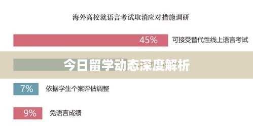 今日留学动态深度解析