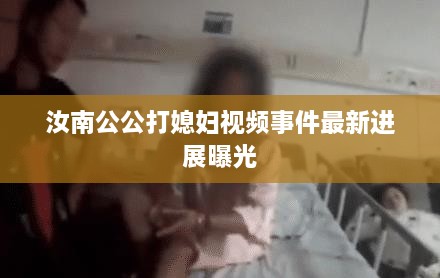 汝南公公打媳妇视频事件最新进展曝光