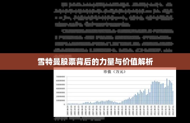 雪特曼股票背后的力量与价值解析